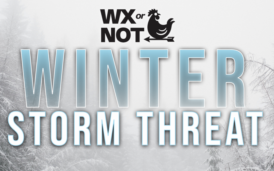 Another winter storm threat!